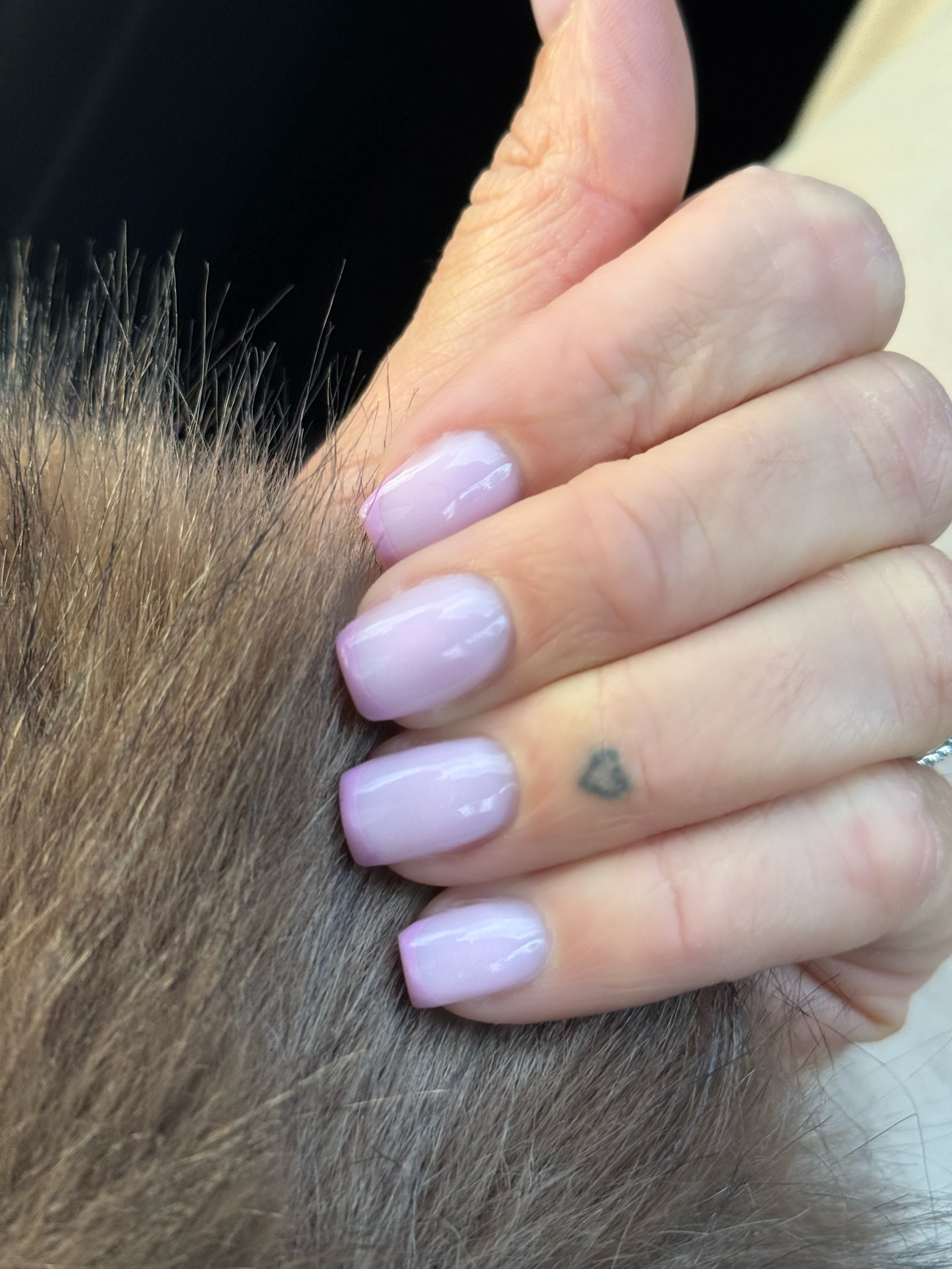 Korte nagels in een zachte lila kleur